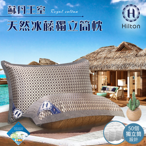 【Hilton 希爾頓】蘇丹王室。頂級格紋藤編獨立筒枕/咖啡(藤編枕/冰涼透氣枕/透氣枕/舒適枕)(B0111-B)  |商品分類|全站商品
