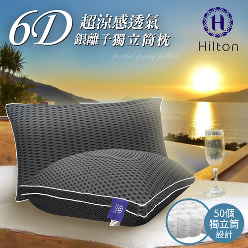 【Hilton 希爾頓】6D超涼感透氣銀離子抑菌獨立筒枕/鐵灰(透氣枕/超涼/酷涼/枕頭)(B0109-A)  |商品分類|全站商品