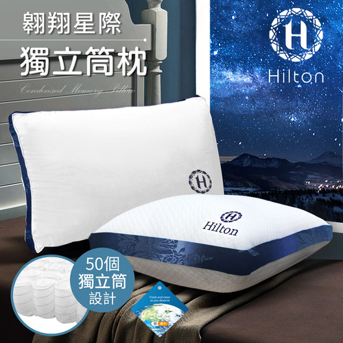 【Hilton 希爾頓】凡爾賽宮迷情藍茫。銀離子沉睡獨立筒枕/白色(獨立筒枕/舒柔枕/沉睡枕)(B0104-W)  |商品分類|全站商品